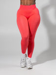 **PREORDER** Shade Seamless Legging - Heather Tequila and Punch