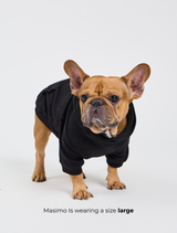 Thumbnail 3 of Dog Cloud Hoodie - Onyx Black, 3 of 7